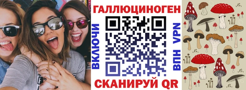 Псилоцибиновые грибы GOLDEN TEACHER  MEGA зеркало  Подпорожье 